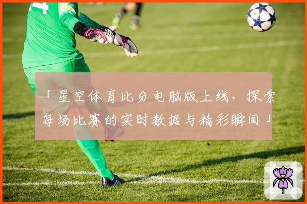 「星空体育比分电脑版上线,探索每场比赛的实时数据与精彩瞬间」